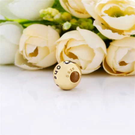 PANDORA True Uniqueness Charm - 767775EN16