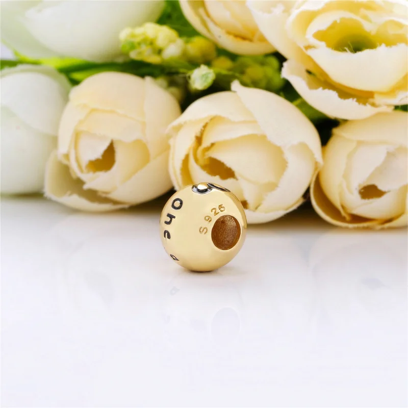 (image for) PANDORA True Uniqueness Charm - 767775EN16 - View 4