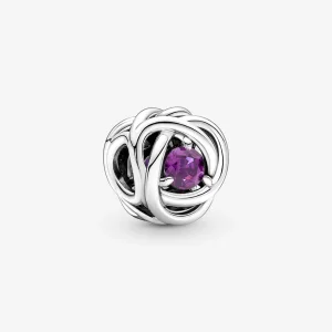 (image for) PANDORA February Purple Eternity Circle Charm - 790065C02