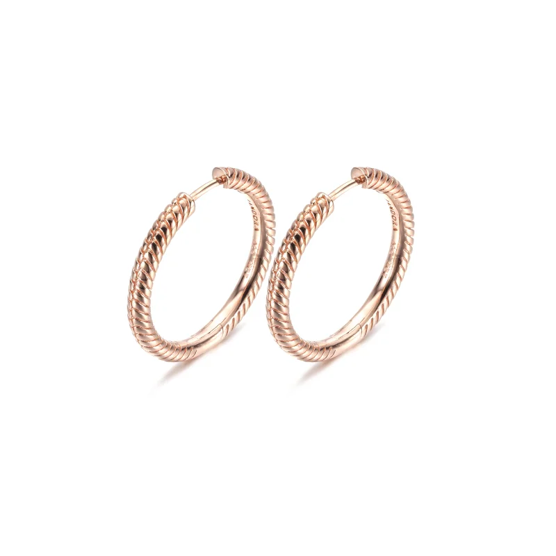 (image for) Pandora Moments Charm Hoop Earrings - 289532C00 - View 2