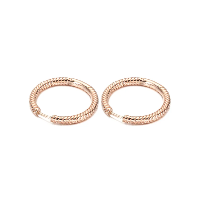 (image for) Pandora Moments Charm Hoop Earrings - 289532C00 - View 3