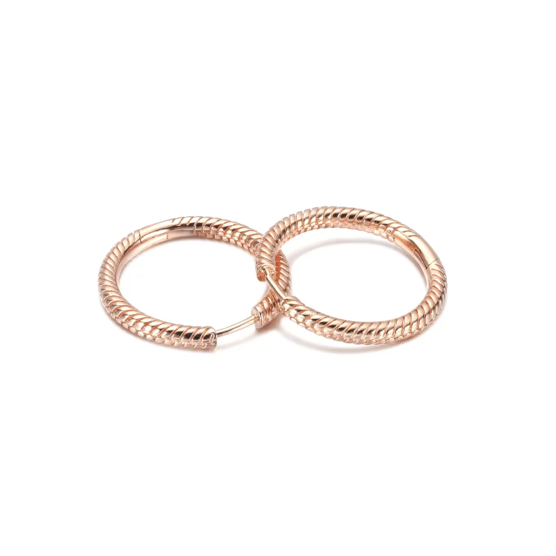 (image for) Pandora Moments Charm Hoop Earrings - 289532C00 - View 5