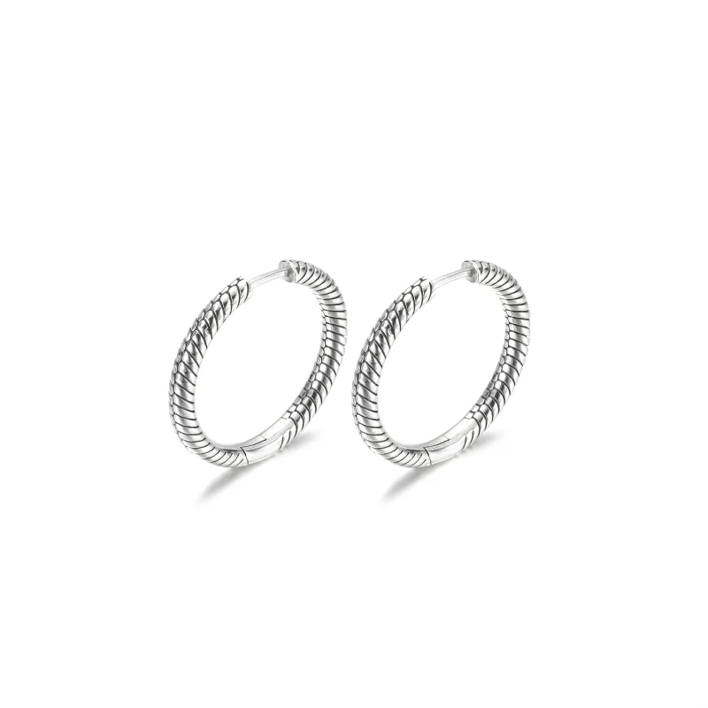 (image for) Pandora Moments Charm Hoop Earrings - 299532C00 - View 5