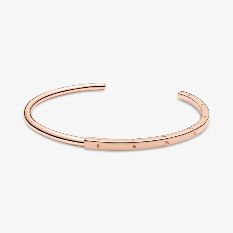 (image for) Pandora Signature I-D bangle - 589493C00 - Product Image
