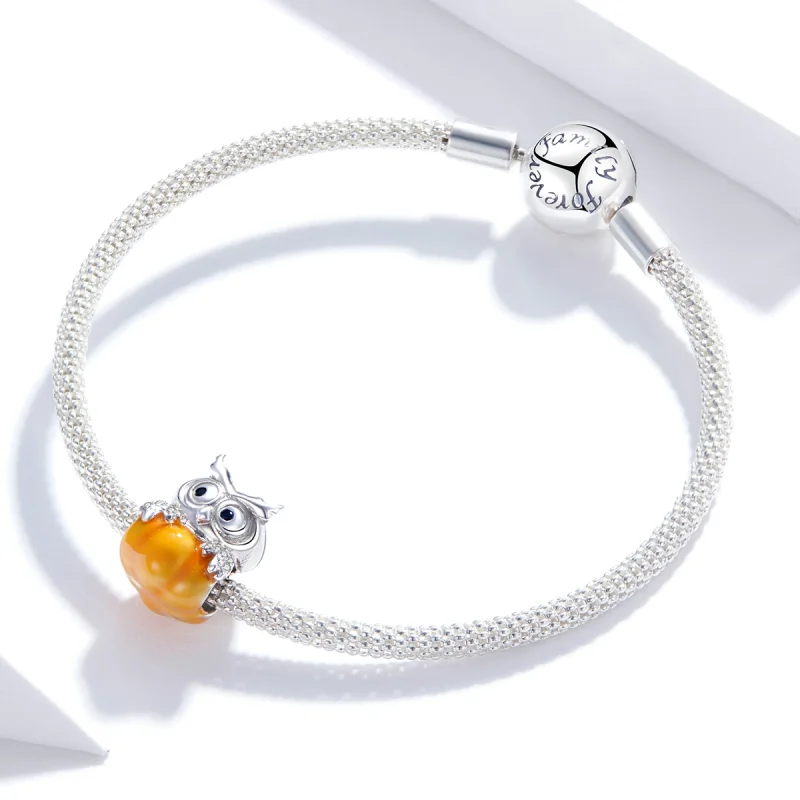 (image for) Pandora Style Silver Pumpkin Owl Charm - BSC342 - View 3