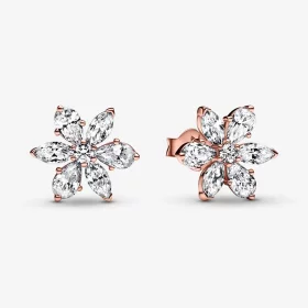 PANDORA Sparkling Herbarium Cluster Stud Earrings - 282407C01 PANDORA Sparkling Herbarium Cluster Stud Earrings - 282407C01