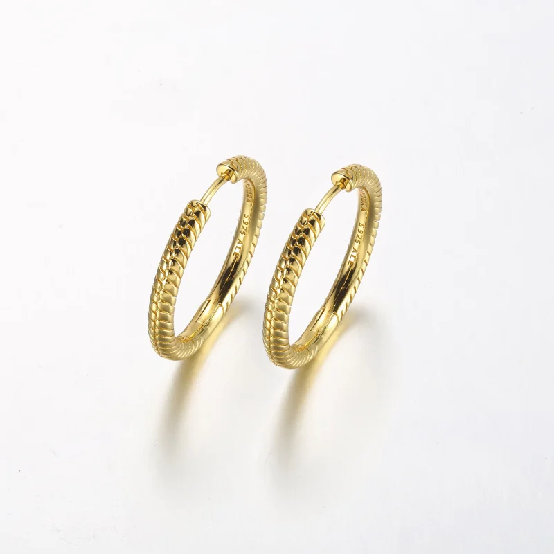 (image for) Pandora Moments Charm Hoop Earrings - 269532C00 - View 2