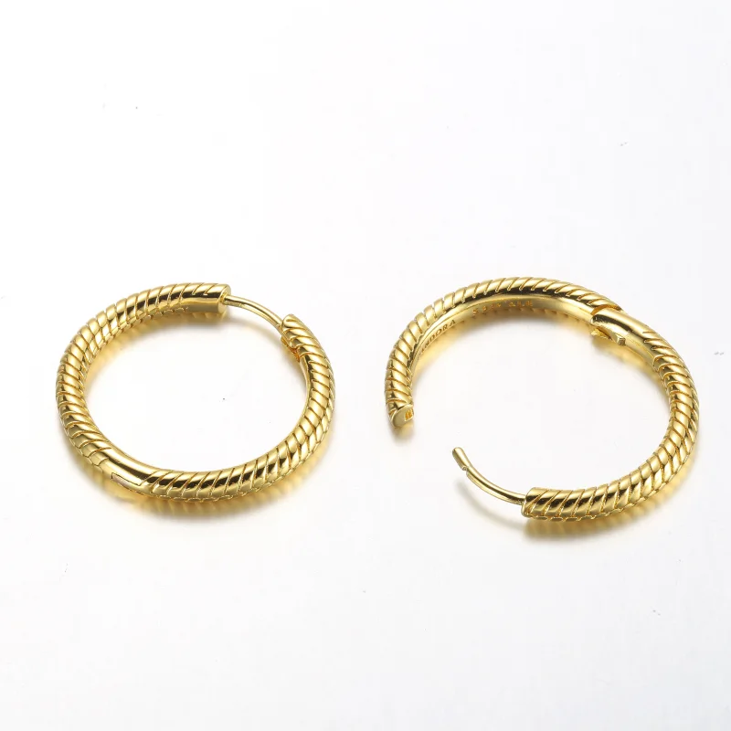 (image for) Pandora Moments Charm Hoop Earrings - 269532C00 - View 4