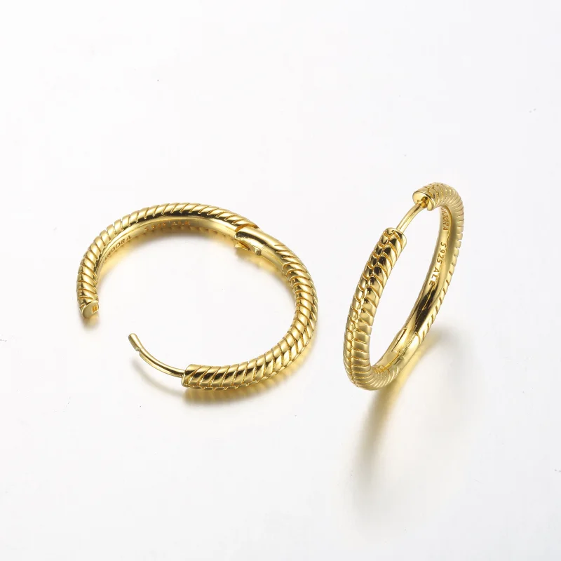 (image for) Pandora Moments Charm Hoop Earrings - 269532C00 - View 5