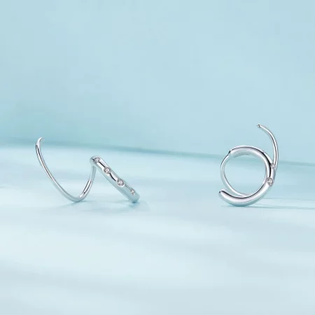 Pandora Style Double Hoop Earrings Stud Earrings - SCE1652