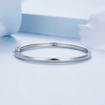 Pandora Style Exquisite Bangle - BSB130