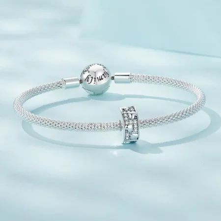 Pandora Style Heart Clip - SCC2492