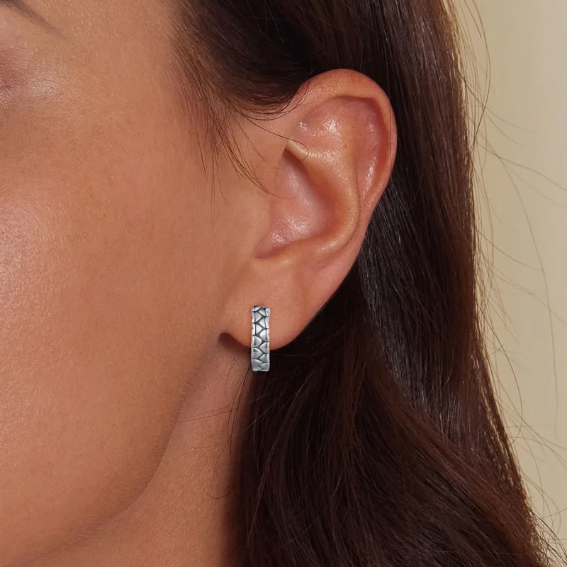 (image for) Pandora Style Heart Heart Hoop Earrings - SCE1653 - View 5