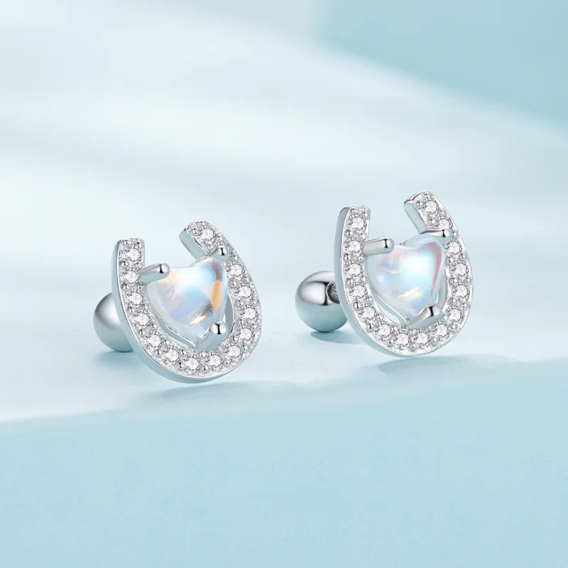 (image for) Pandora Style Horseshoe Round Ear Plugs Studs Earrings - SCE1612 - View 2