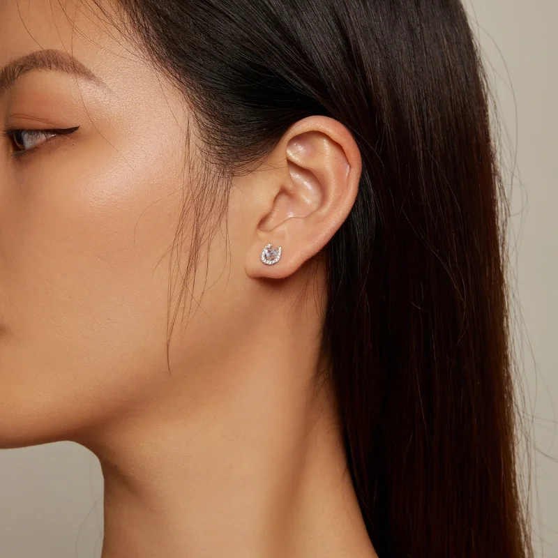 (image for) Pandora Style Horseshoe Round Ear Plugs Studs Earrings - SCE1612 - View 5