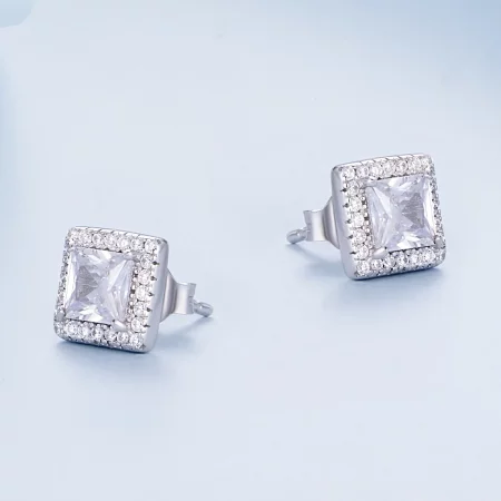 Pandora Style Light Luxury Stud Earrings - BSE895