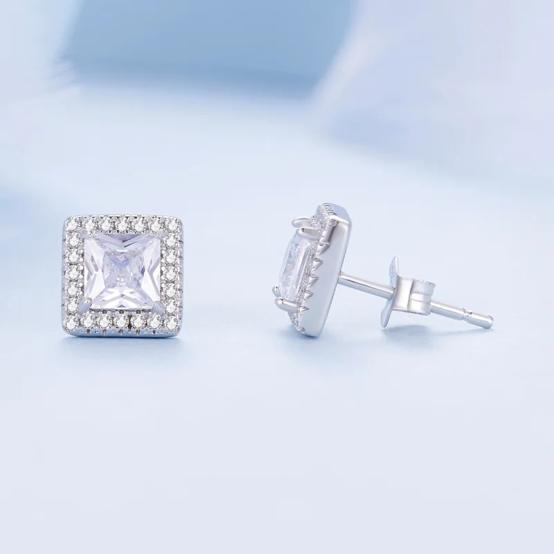 (image for) Pandora Style Light Luxury Stud Earrings - BSE895 - View 4