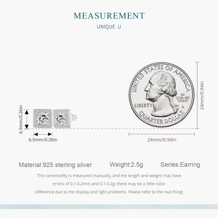 Pandora Style Light Luxury Stud Earrings - BSE895