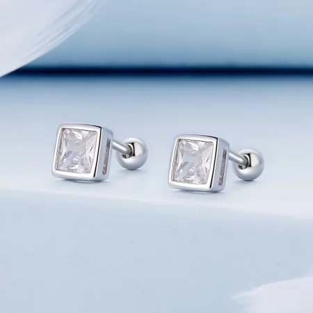 Pandora Style Princess Zirconia Studs Earrings - BSE885-L