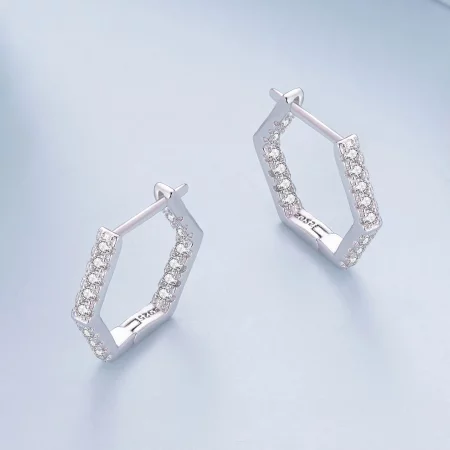 Pandora Style Six-Sided Hoop Earrings - BSE917