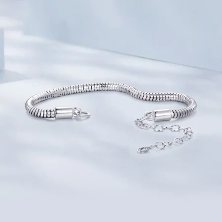 Pandora Style Snake Bone Chain Chain Bracelet - BSB150