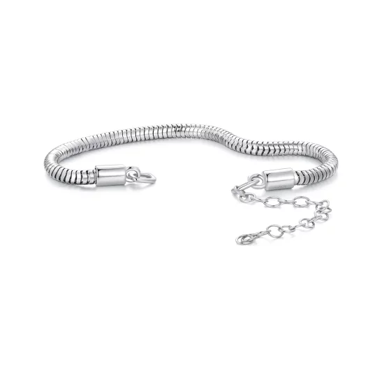 Pandora Style Snake Bone Chain Chain Bracelet - BSB150