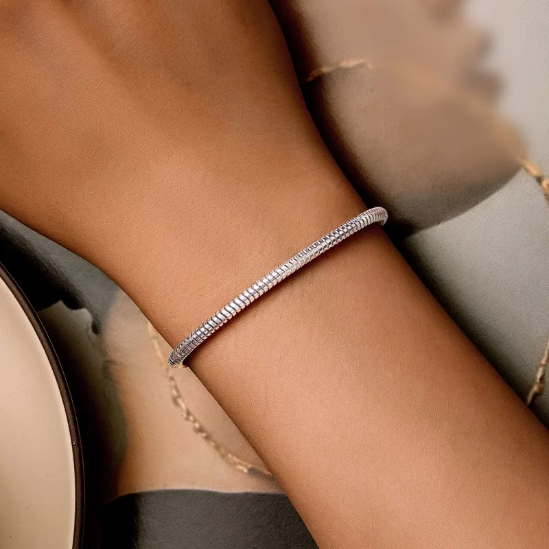 (image for) Pandora Style Snake Bone Chain Chain Bracelet - BSB150 - View 4