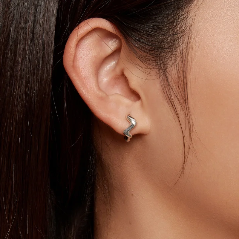 (image for) Pandora Style Wave Hoop Earrings - SCE1624 - View 3