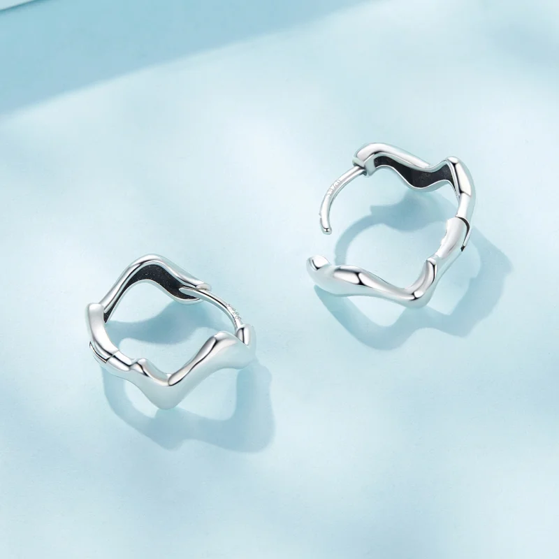 (image for) Pandora Style Wave Hoop Earrings - SCE1624 - View 4