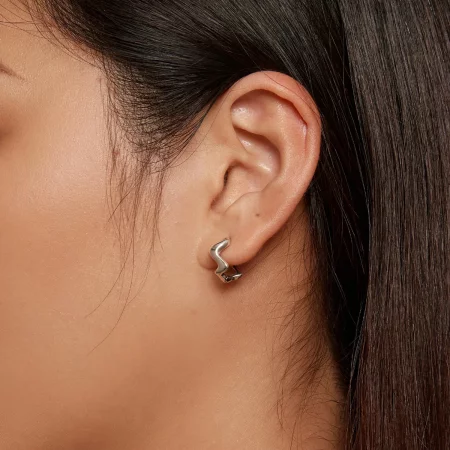 Pandora Style Wave Hoop Earrings - SCE1624