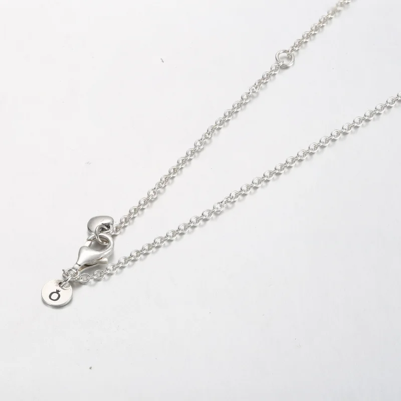 (image for) Pandora Family Always Encircled Pendant Necklace - 391455C01 - View 4