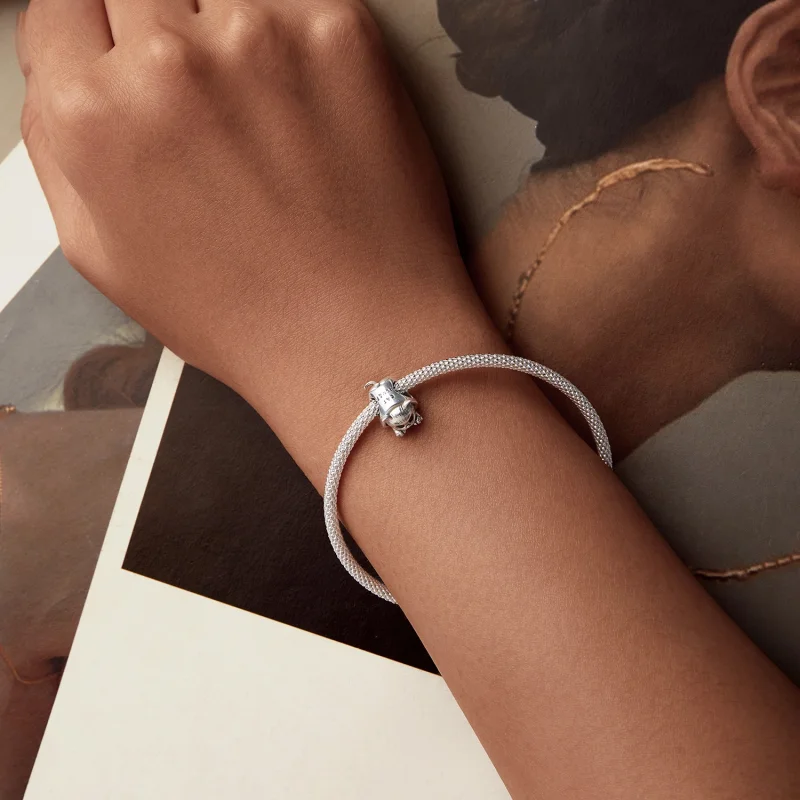 (image for) PANDORA Style Cozy Cat House charm - SCC2797 - View 6