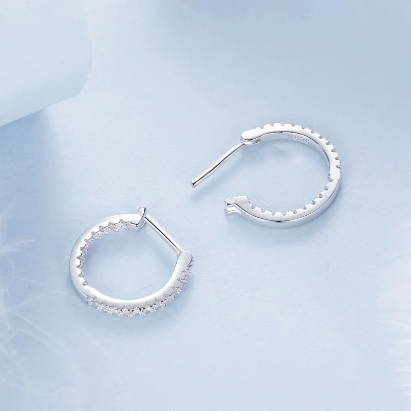 (image for) PANDORA Style Shining earrings - BSE1023 - View 4
