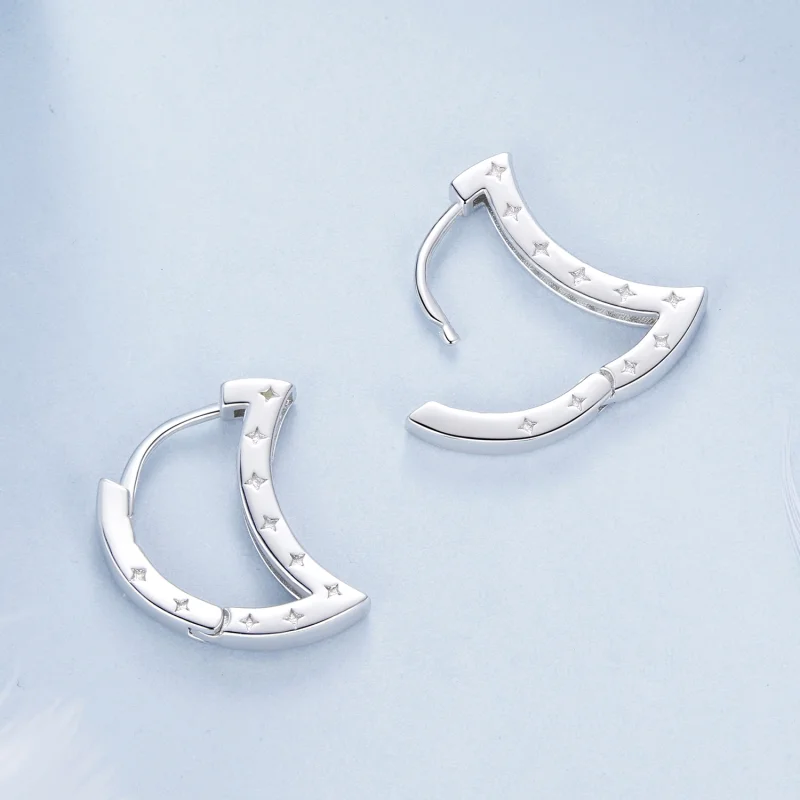 (image for) PANDORA Style Star and Moon Earrings - BSE1031 - View 4