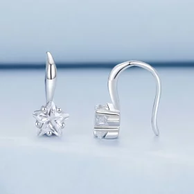 PANDORA Style Star Ear Hooks - BSE1028