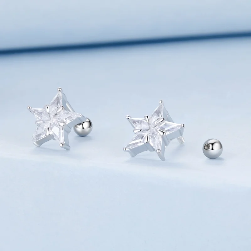 (image for) PANDORA Style Star sparkle earrings - BSE1009 - View 2