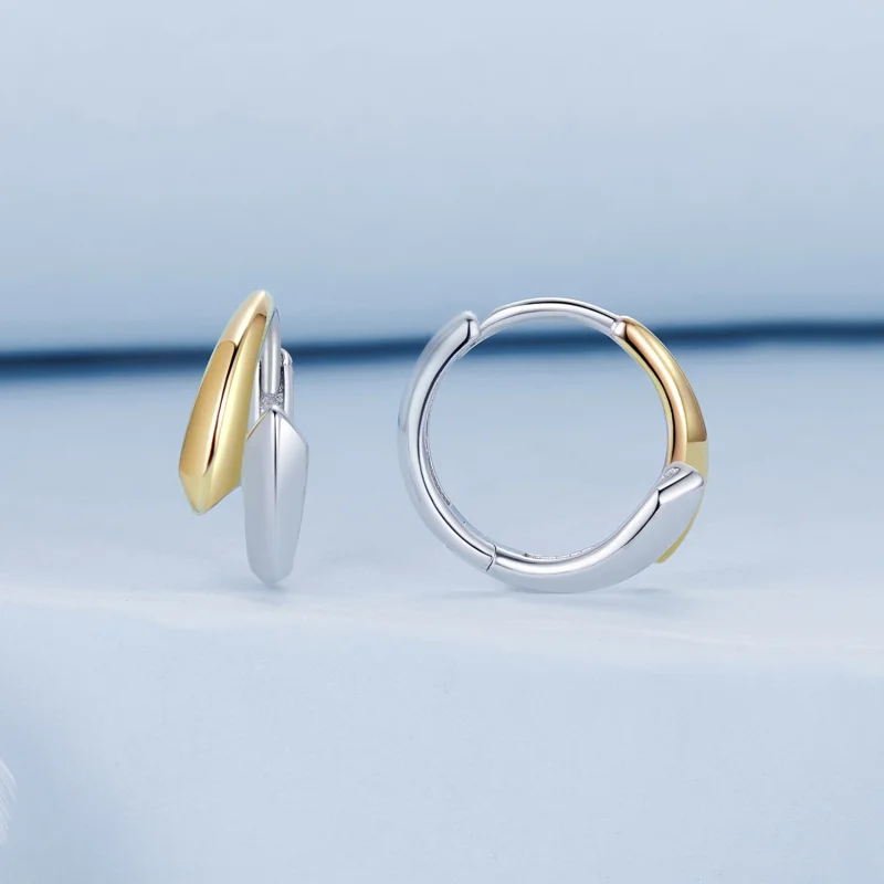 (image for) PANDORA Style Two-tone earrings - BSE1021 - View 2