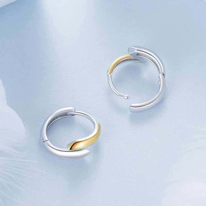 (image for) PANDORA Style Two-tone earrings - BSE1021 - View 4