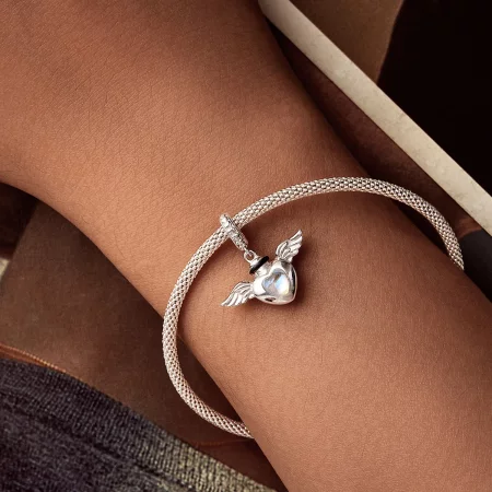 PANDORA风格宠物骨灰盒纪念盒吊坠 - BSC1036