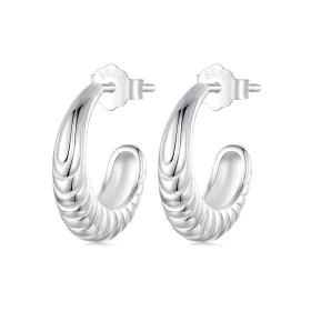 PANDORA Style Temperament Texture Earrings - BSE1058 PANDORA Style Temperament Texture Earrings - BSE1058
