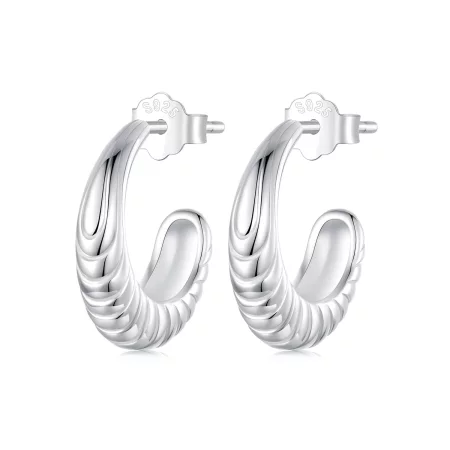 PANDORA Style Temperament Texture Earrings - BSE1058