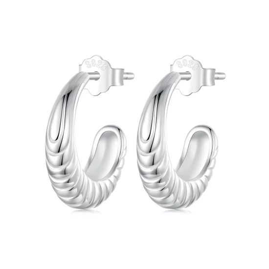 PANDORA Style Temperament Texture Earrings - BSE1058