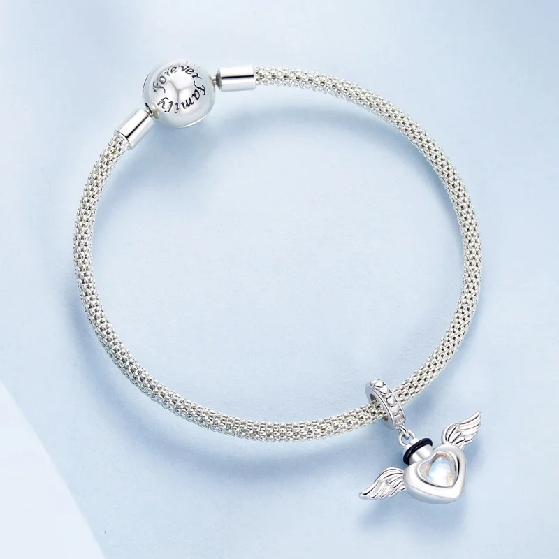 (image for) PANDORA Style Pet urn memorial box pendant - BSC1036 - View 5