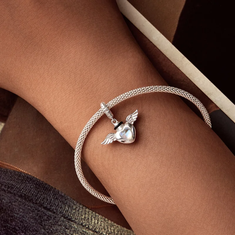 (image for) PANDORA Style Pet urn memorial box pendant - BSC1036 - View 6