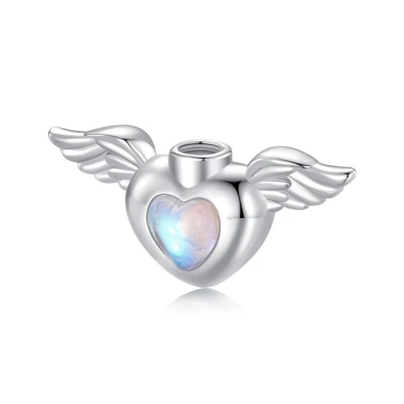 (image for) PANDORA Style Pet urn memorial box pendant - BSC1036 - View 8