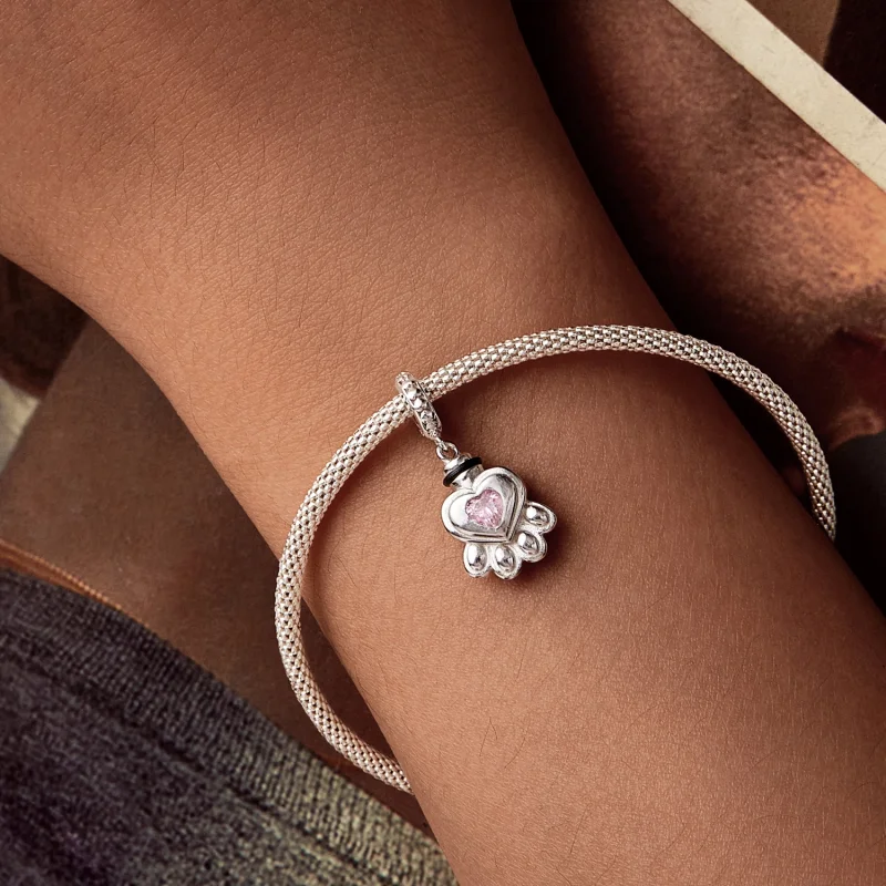 (image for) PANDORA Style Pet urn memorial box pendant - BSC1037 - View 7