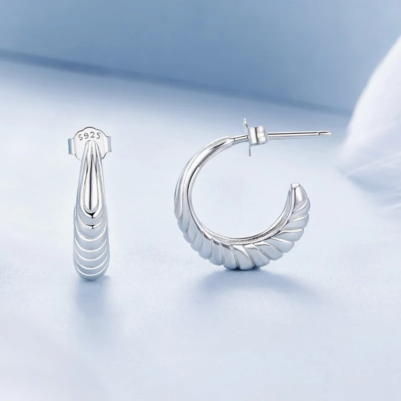 (image for) PANDORA Style Temperament texture earrings - BSE1058 - View 4