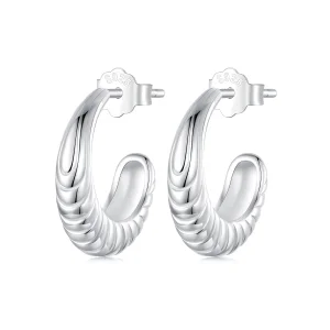 (image for) PANDORA Style Temperament texture earrings - BSE1058