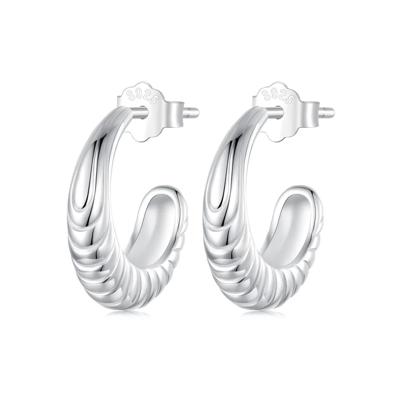 (image for) PANDORA Style Temperament texture earrings - BSE1058 - Product Image