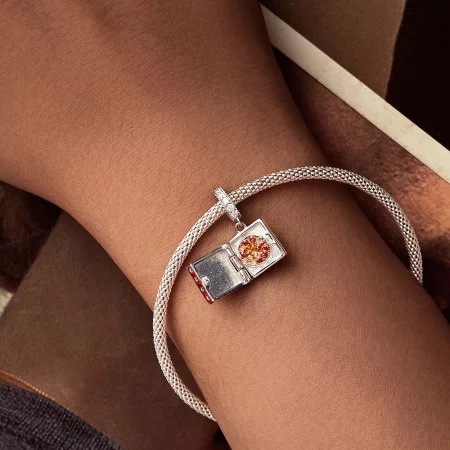 PANDORA风格趣味披萨吊坠 - SCC2841